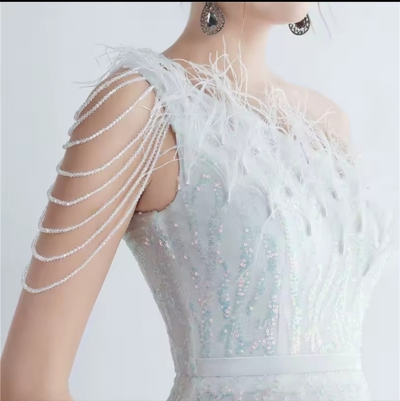 Opalescent,  Assymmetrical Neck,  Ostrich Feathers, Beaded, Geo ,Sequined Gown - Picture 13 of 15